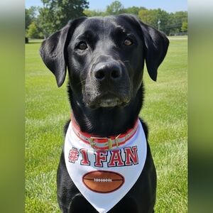 New Large DOG Collar Bandana FOOTBALL #1 Fan Reflective Adjustable
